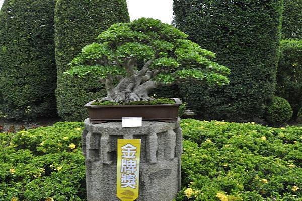 2017中華榕樹展_00039.jpg