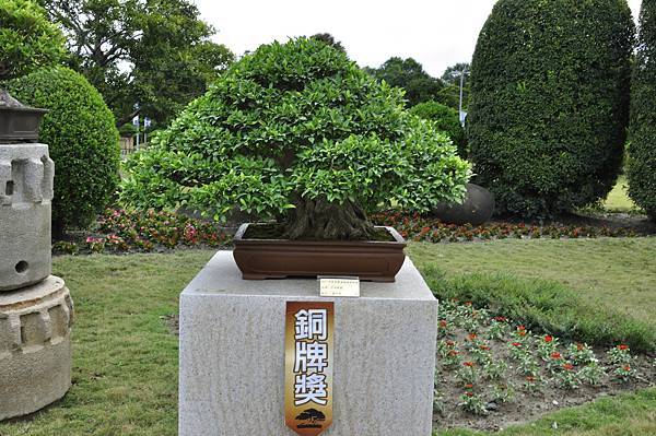 2017中華榕樹展_00049.jpg
