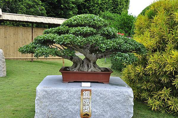 2017中華榕樹展_00109.jpg