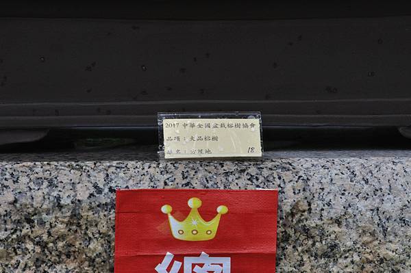 2017中華榕樹展_00112.jpg