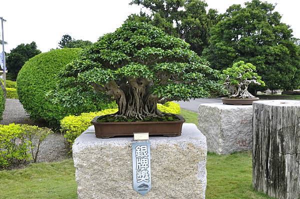 2017中華榕樹展_00130.jpg