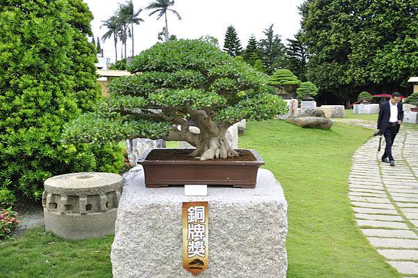 2017中華榕樹展_00132.jpg