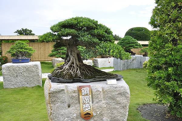 2017中華榕樹展_00177.jpg