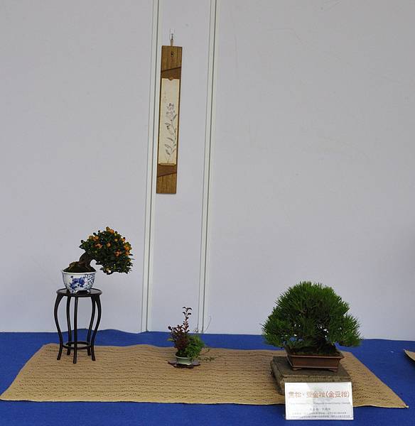 2017台中古榕特展_00057.jpg