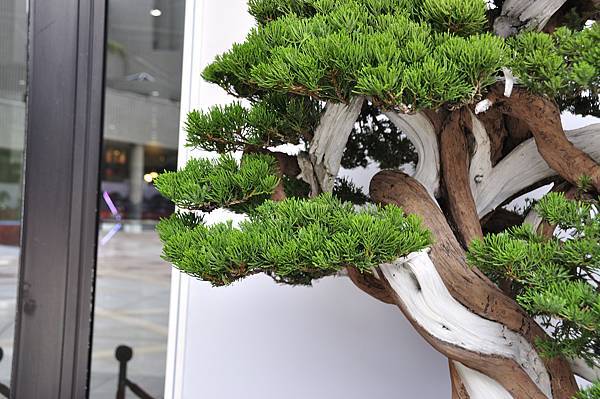 2017台中樹石展_00176.jpg