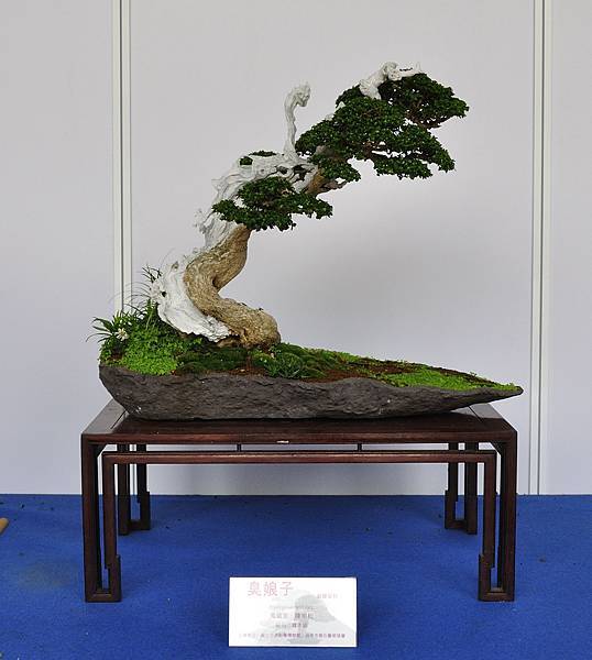 2017台中樹石展_00077.jpg