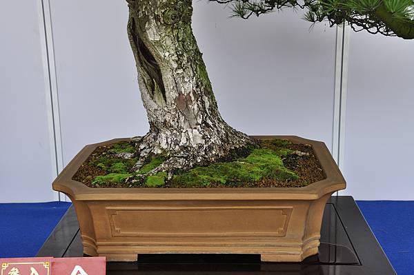 2017台中樹石展_00093.jpg