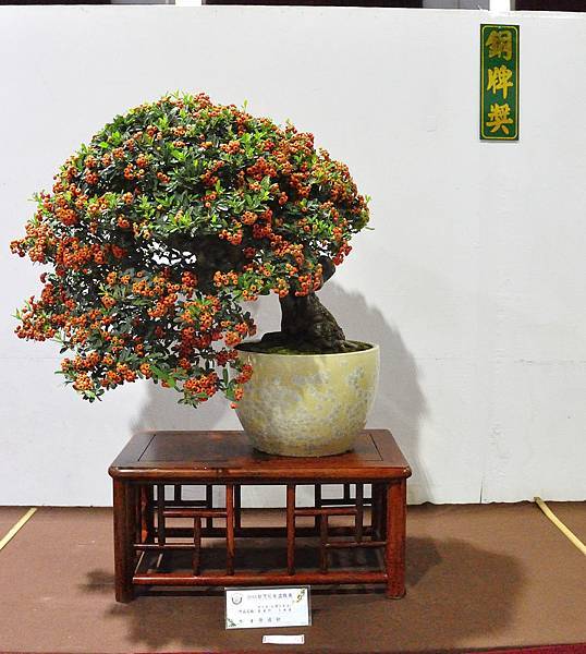 2018台灣花菓盆栽展_00042.jpg