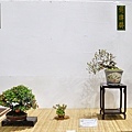 2018台灣花菓盆栽展_00053.jpg