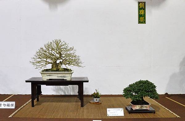 2018台灣花菓盆栽展_00063.jpg