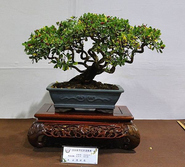 2018台灣花菓盆栽展_00088.jpg