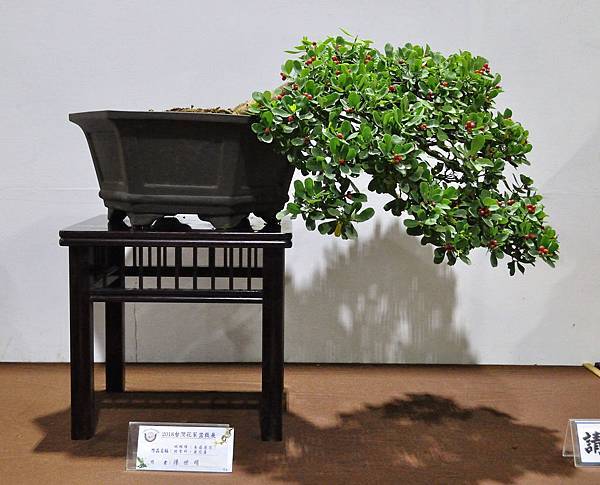 2018台灣花菓盆栽展_00097.jpg