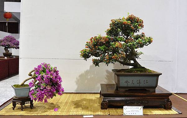 2018台灣花菓盆栽展_00106.jpg