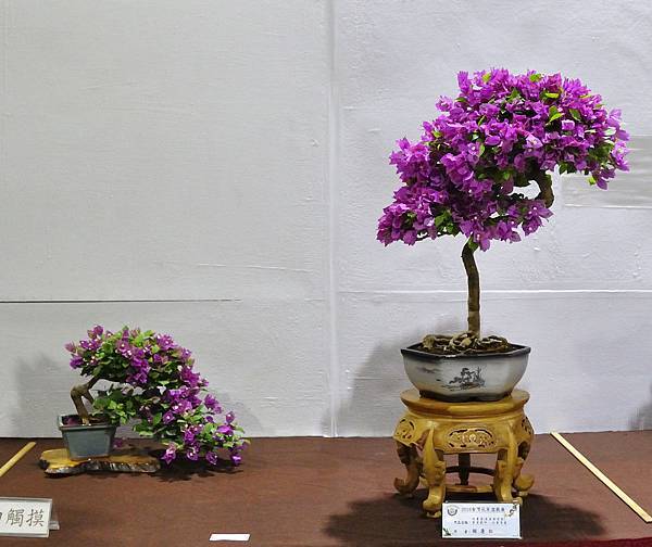 2018台灣花菓盆栽展_00109.jpg