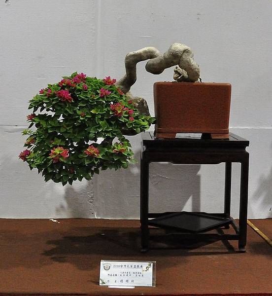2018台灣花菓盆栽展_00113.jpg