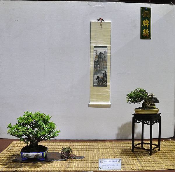 2018台灣花菓盆栽展_00115.jpg