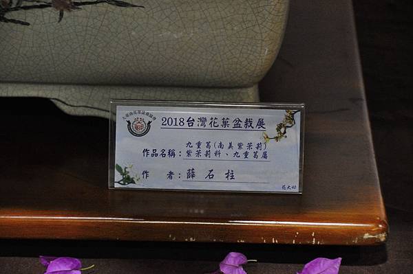 2018台灣花菓盆栽展_00006.jpg