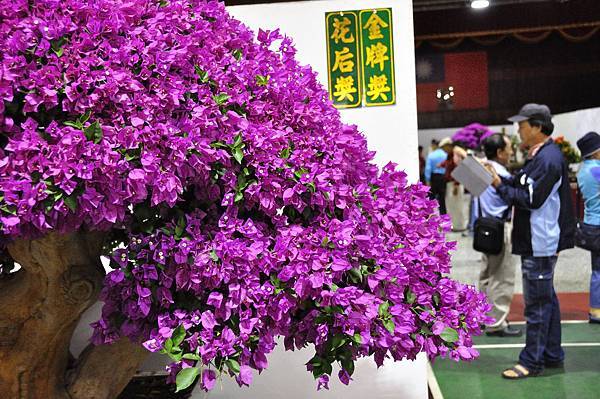 2018台灣花菓盆栽展_00009.jpg