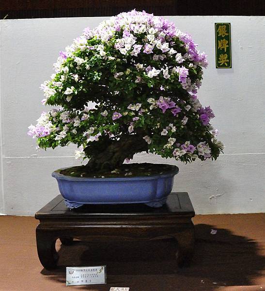 2018台灣花菓盆栽展_00030.jpg