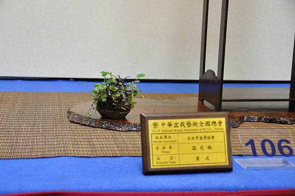 2018華風展_00296.jpg