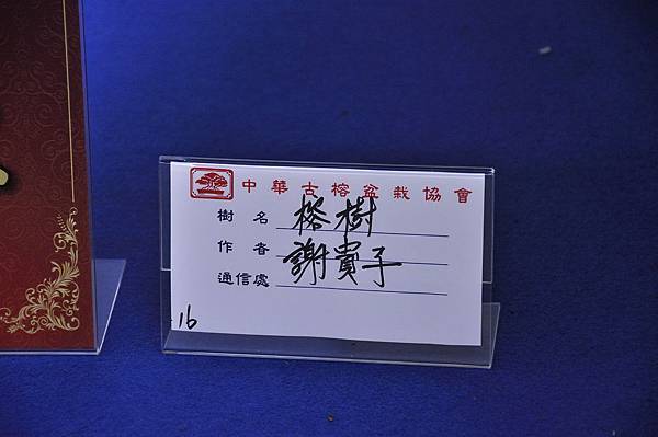2018中華古榕盆栽展_00038.jpg