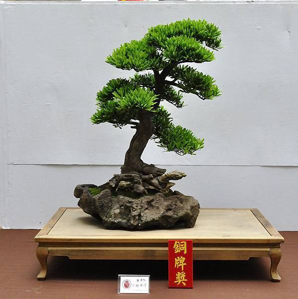 2019台中樹石展_00079.jpg