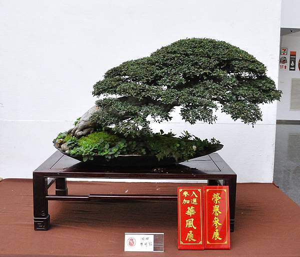 2019台中樹石展_00082.jpg
