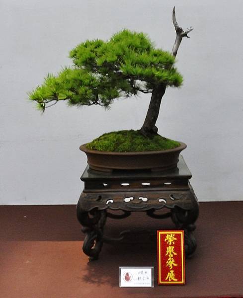 2019台中樹石展_00087.jpg