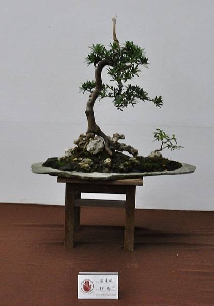 2019台中樹石展_00106.jpg