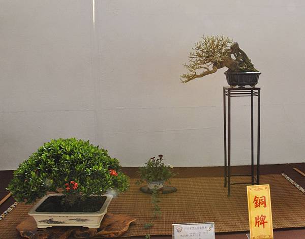 2019台灣花菓展_00099.jpg