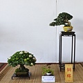 2019台灣花菓展_00113.jpg