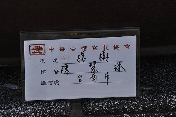 2019中華古榕盆栽展_00017.jpg