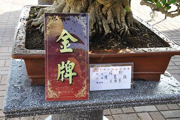 2019中華古榕盆栽展_00019.jpg