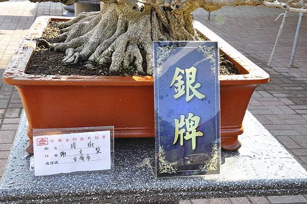 2019中華古榕盆栽展_00047.jpg