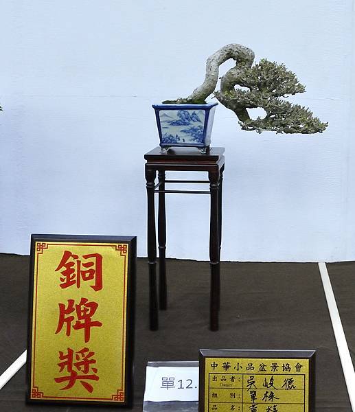 2020雅風展_164.jpg