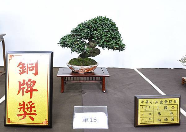 2020雅風展_167.jpg