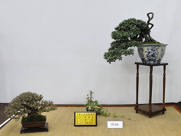 2020雅風展_203.jpg