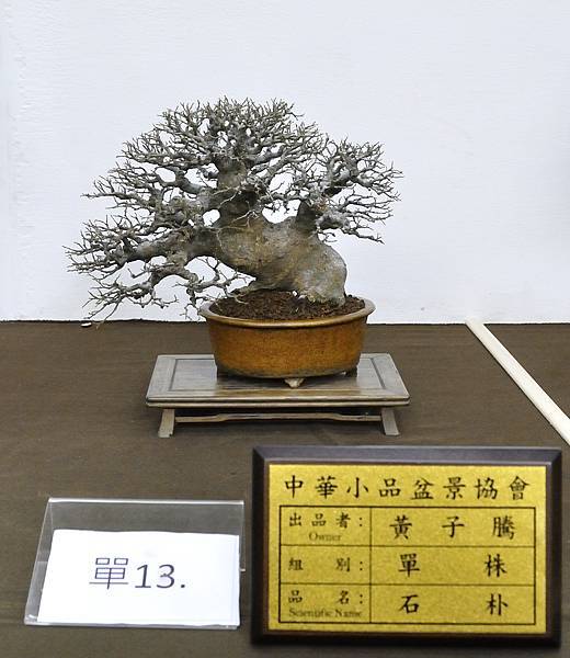 2020雅風展_214.jpg