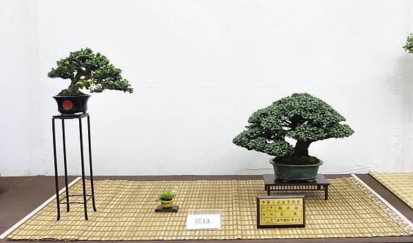 2020雅風展_276.jpg