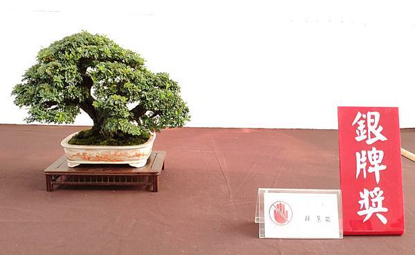 2020台中盆栽展_076.jpg