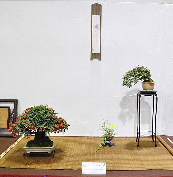 2020台灣花菓展_145.jpg