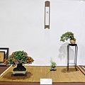 2020台灣花菓展_145.jpg