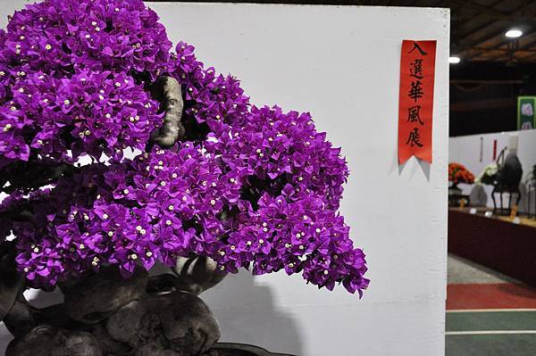 2020台灣花菓展_019.jpg