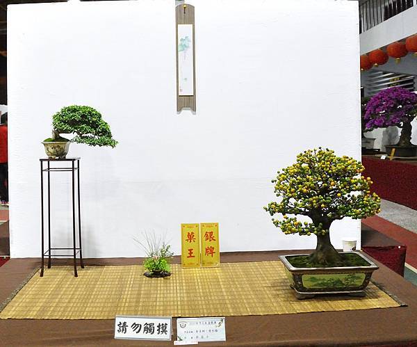 2020台灣花菓展_021.jpg