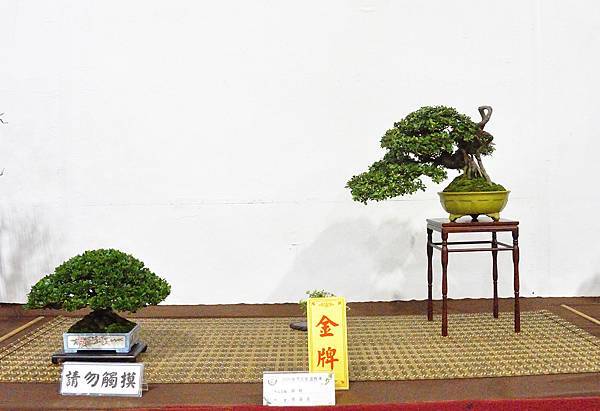 2020台灣花菓展_038.jpg