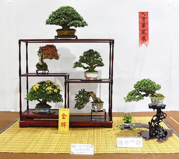 2020台灣花菓展_042.jpg