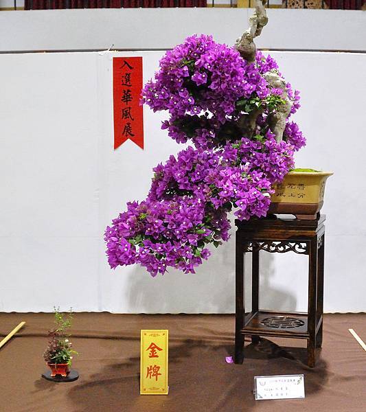 2020台灣花菓展_051.jpg