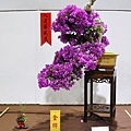 2020台灣花菓展_051.jpg