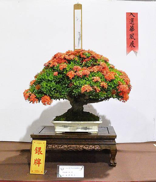 2020台灣花菓展_059.jpg