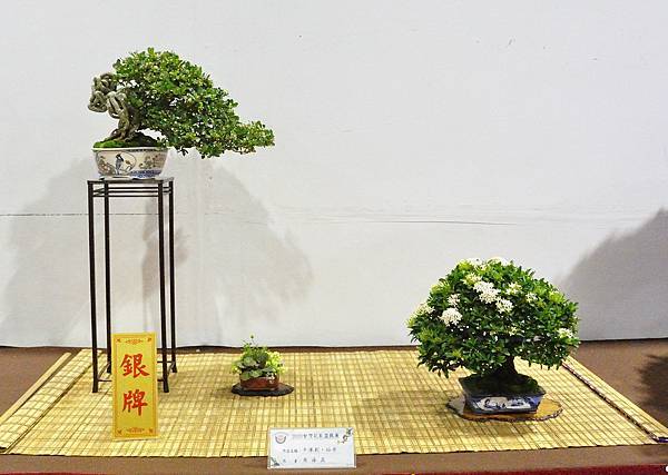 2020台灣花菓展_060.jpg